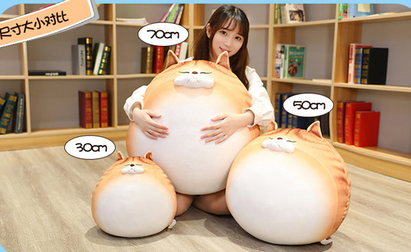 Lovely Cat Plush Hold Pillow JK2532