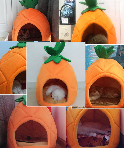 Sweet Pineapple Pet/Cat House JK3272
