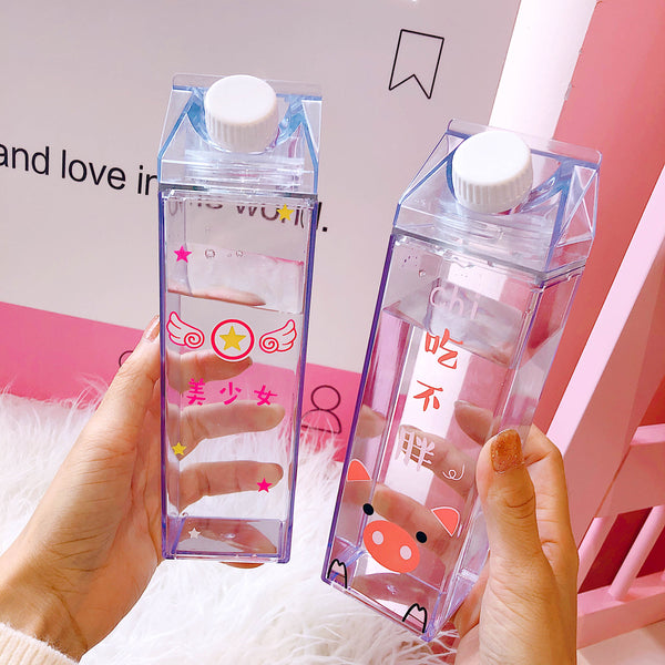 Kawaii Pigs Water Bottle  JK1187